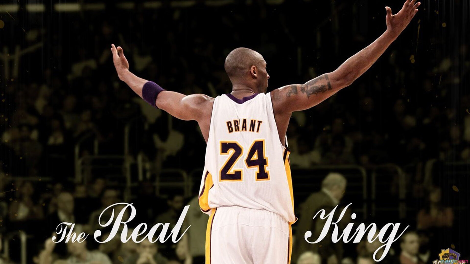 当电竞观众为篮球皇帝沸腾，詹姆斯防守封印与FPX的跨界狂欢，詹姆斯防守封印引爆FPX主场，电竞与篮球跨界狂欢夜